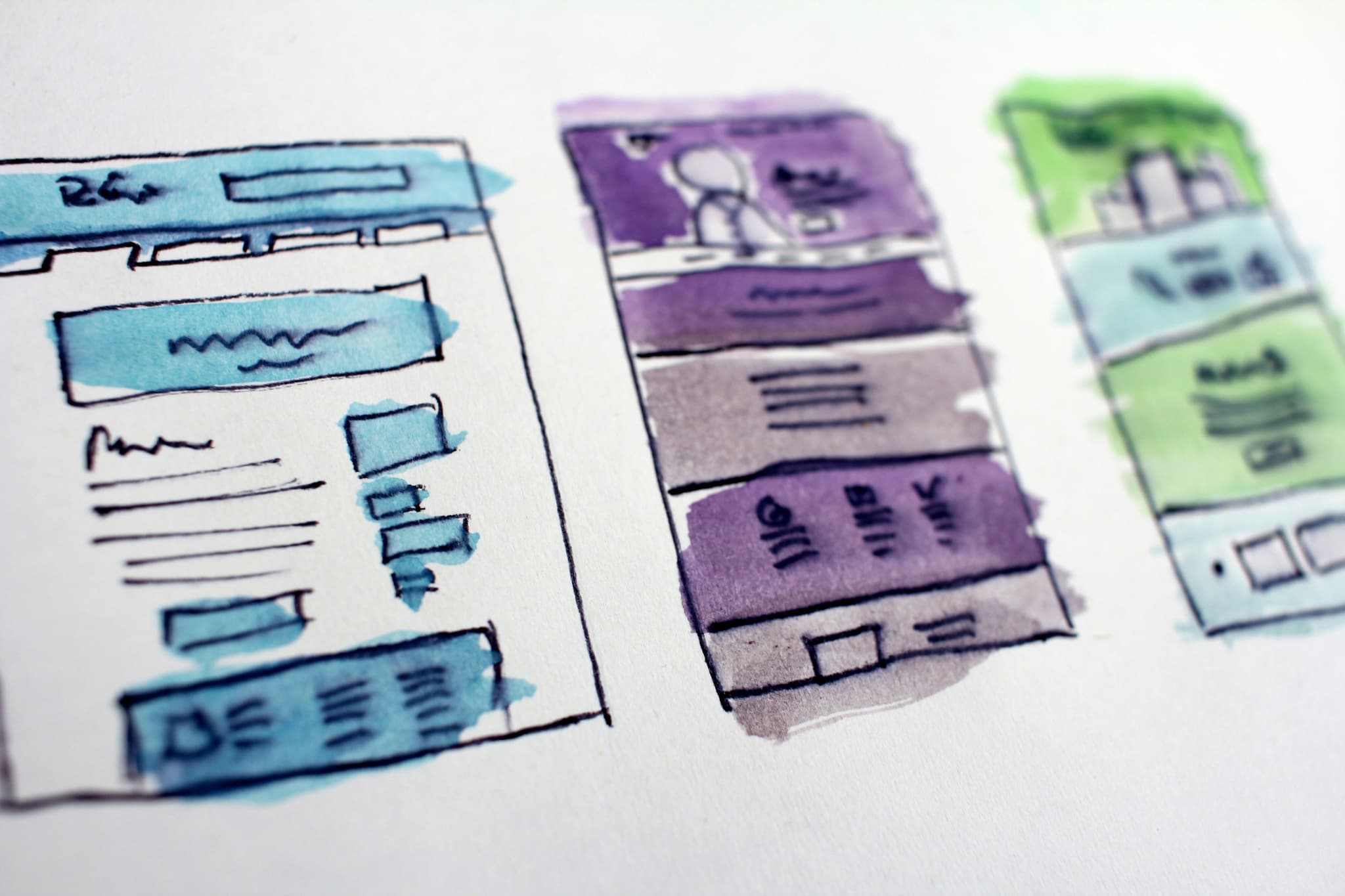 Web Design & Development